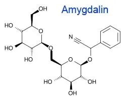 Bitter Apricot Seed Extract 50% Amygdalin (Vitamin B17) CAS No. 29883-15-6