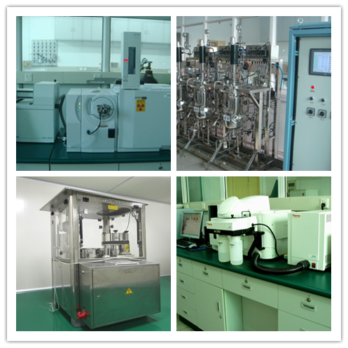 Bitter Apricot Seed Extract 98% Amygdalin Vitamin B17 CAS 29883 -15-6