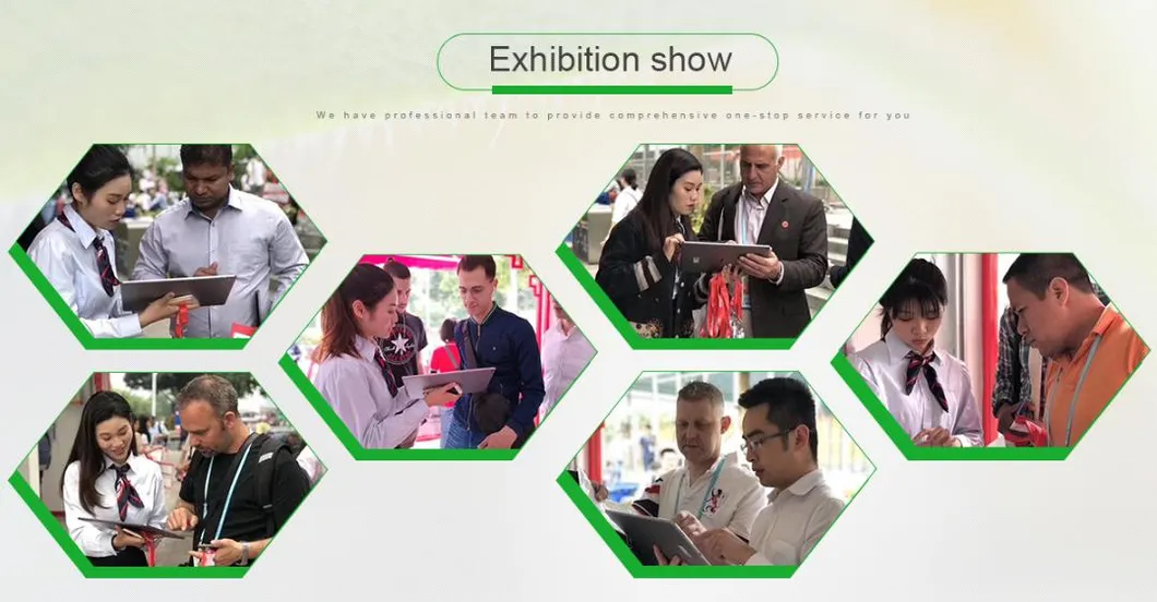 Bpanda Organic Apigenin 98% Celery Seed Extract Powder