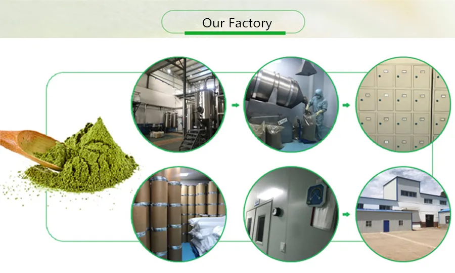 Bpanda Organic Apigenin 98% Celery Seed Extract Powder