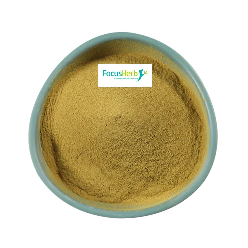 Bulk Natural Serenoa Repens Extract Saw Palmetto Extract Powder