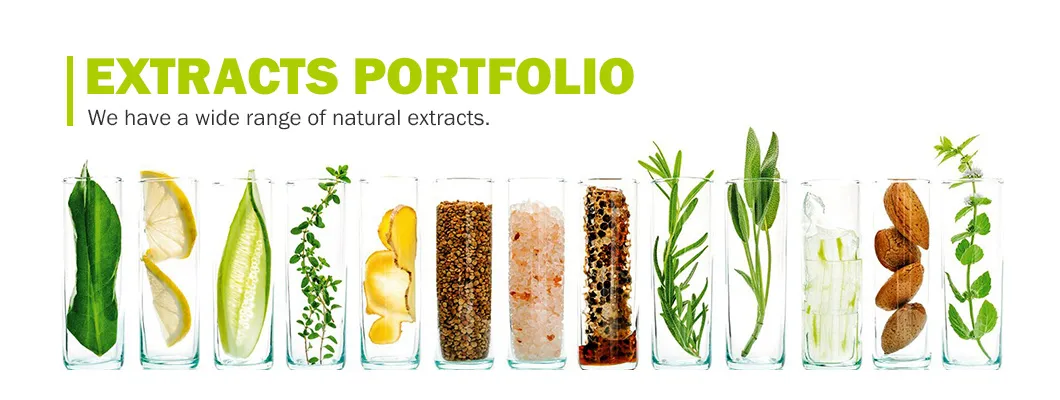 Bulk Natural Serenoa Repens Extract Saw Palmetto Extract Powder