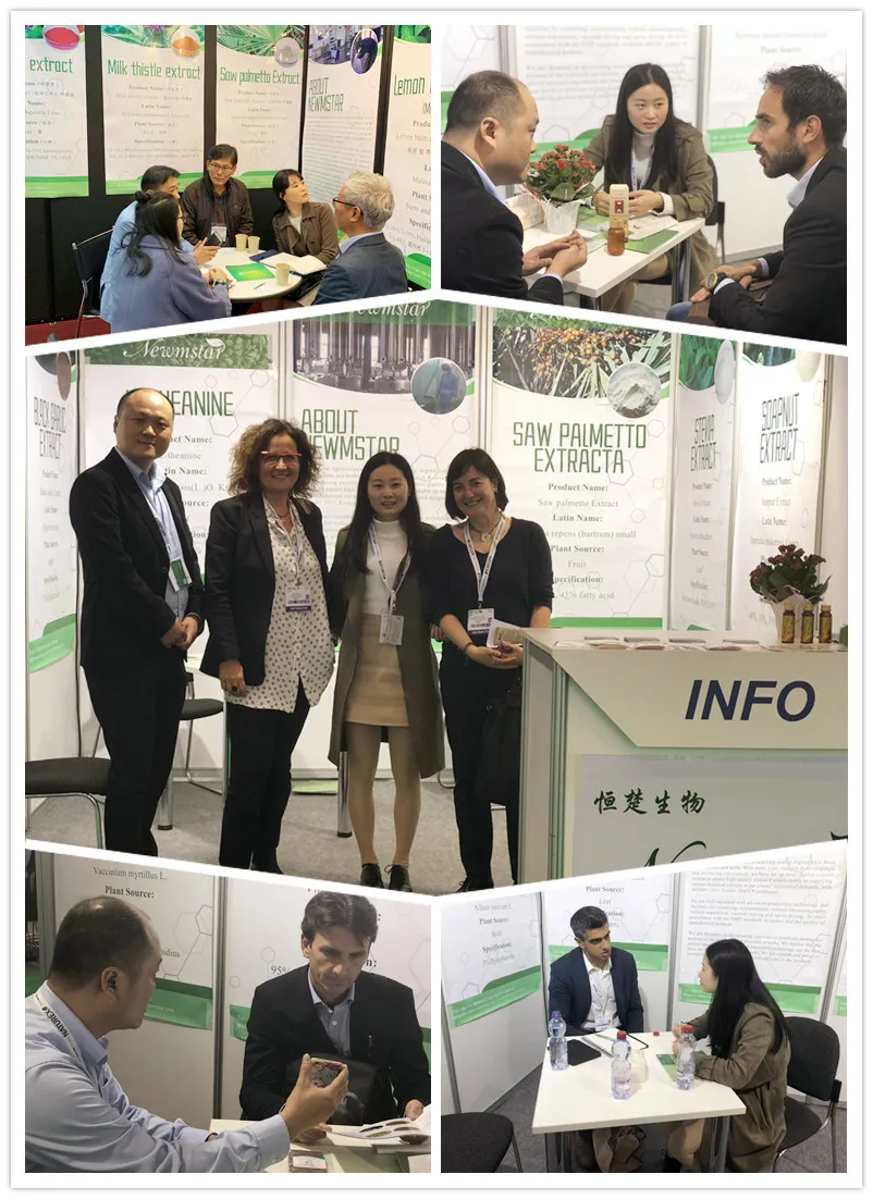 Cabbage Extract/Cabbage P. E. /Brassica Oleracea Extract Supplierfob Reference Price