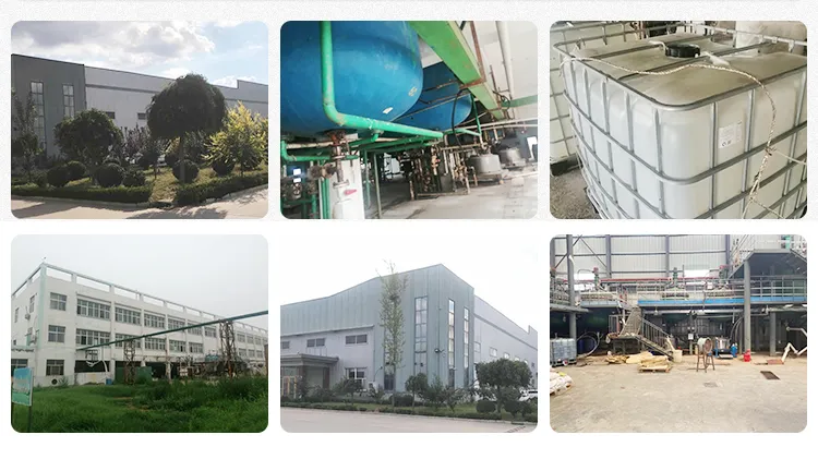 CAS 544-17-2 High Quality 98.0% Min Calcium Formate