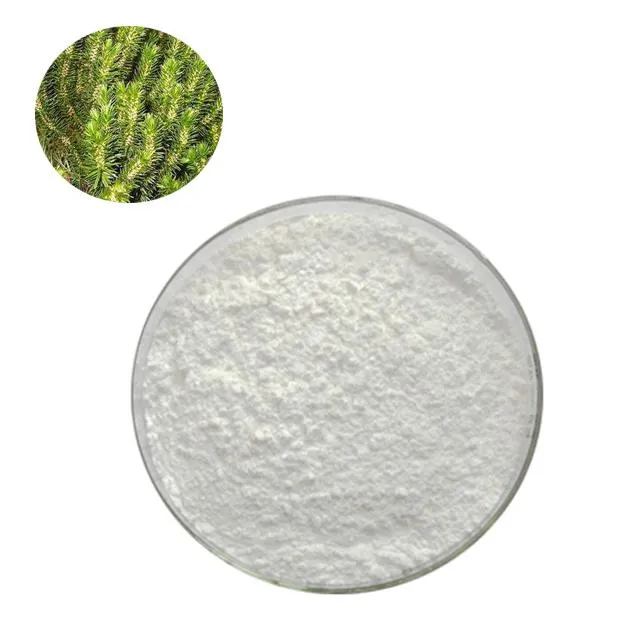 CAS No. 102518-79-6 Huperzia Serrata Extract/Huperzia Serrata Plant Extract Huperzine-a