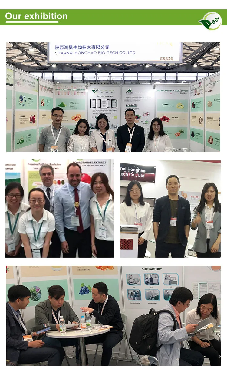 CAS No. 520-36-5 Natural Apigenin Treatment of HIV and Other Infections Apigenin Powder