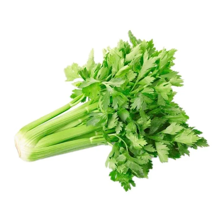 CAS No. 520-36-5 Natural Apigenin Treatment of HIV and Other Infections Apigenin Powder