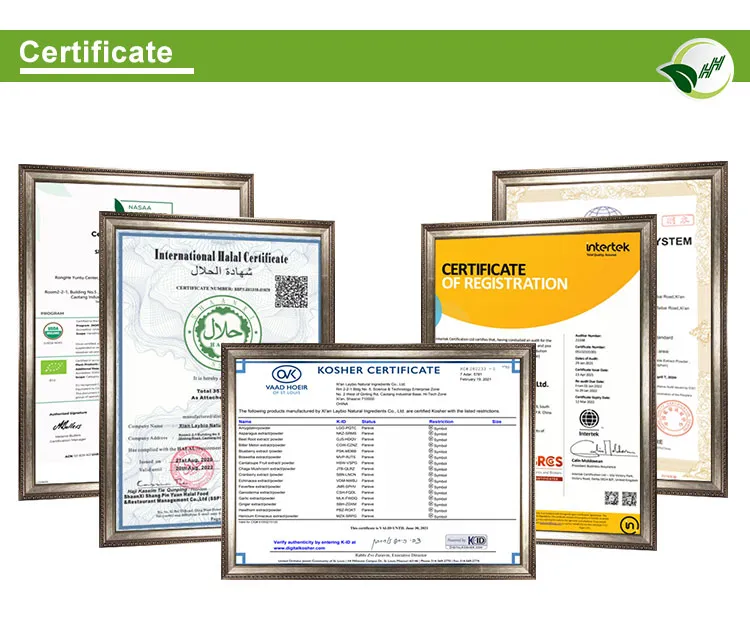 CAS No. 520-36-5 Natural Apigenin Treatment of HIV and Other Infections Apigenin Powder