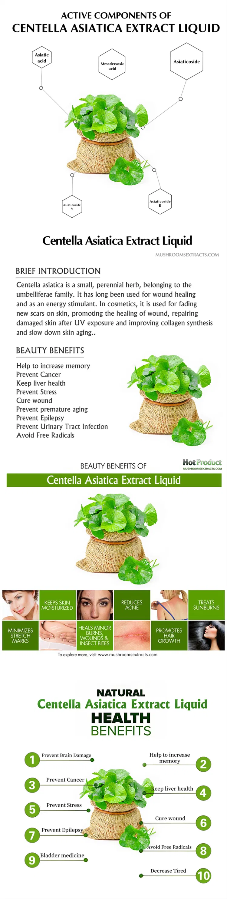 Centella Asiatica Extract Liquid, Gotu Kola Liquid for Promoting The Healing of Wound