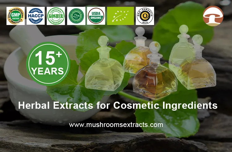 Centella Asiatica Extract Liquid, Gotu Kola Liquid for Promoting The Healing of Wound