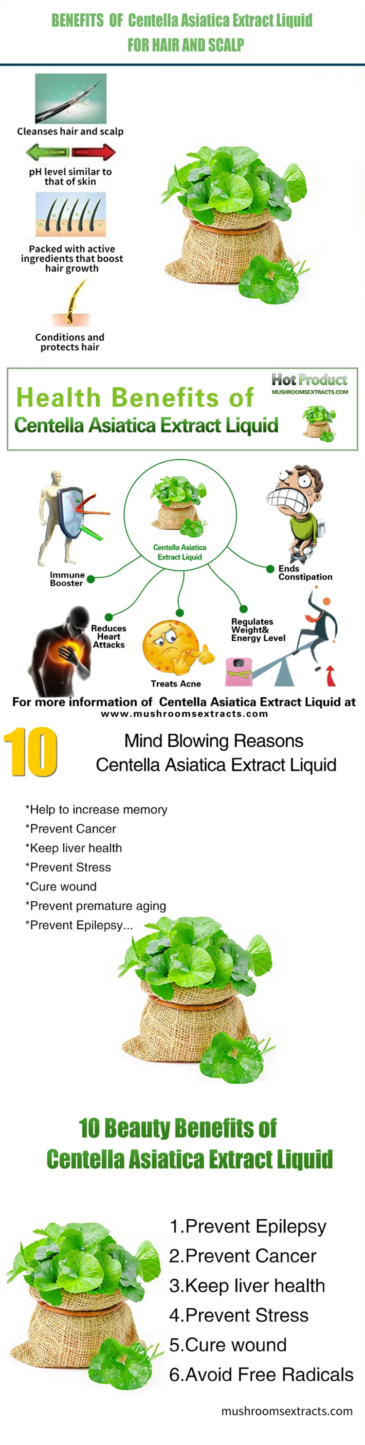 Centella Asiatica Extract Liquid, Gotu Kola Liquid for Promoting The Healing of Wound