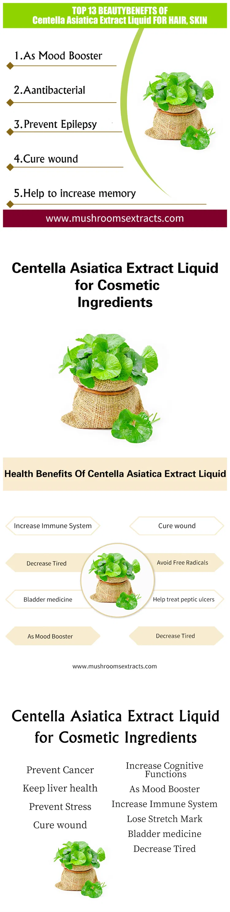 Centella Asiatica Extract Liquid, Gotu Kola Liquid for Promoting The Healing of Wound