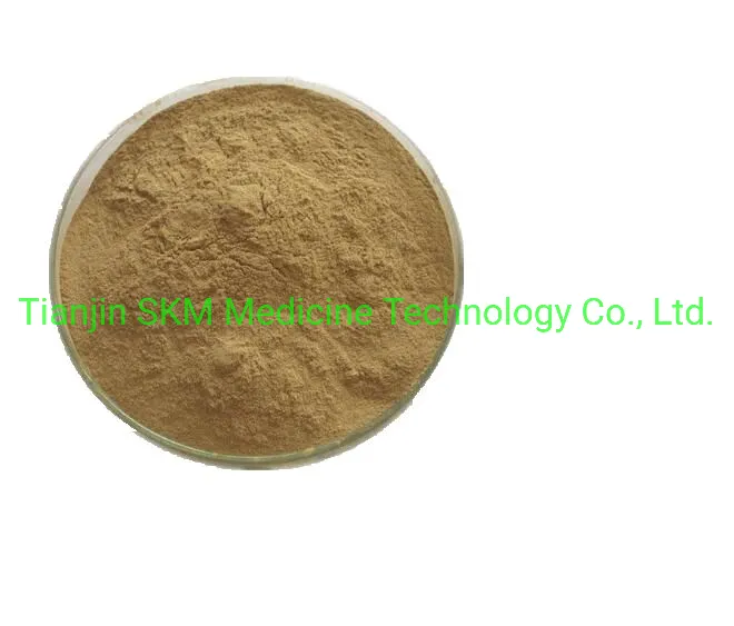 China Manufactory Supply Holy Basil Extract/Ocimum Sanctum Extract