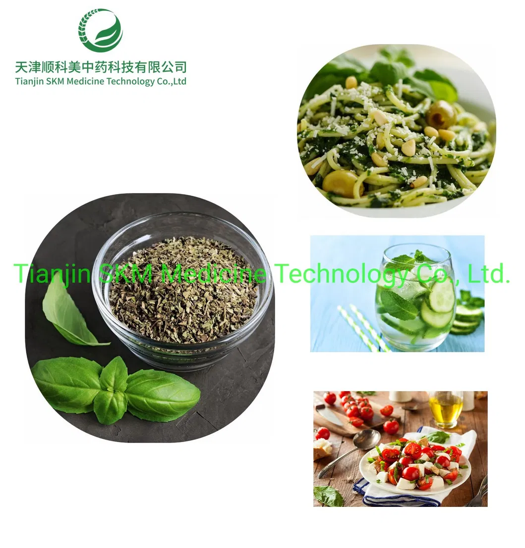 China Manufactory Supply Holy Basil Extract/Ocimum Sanctum Extract