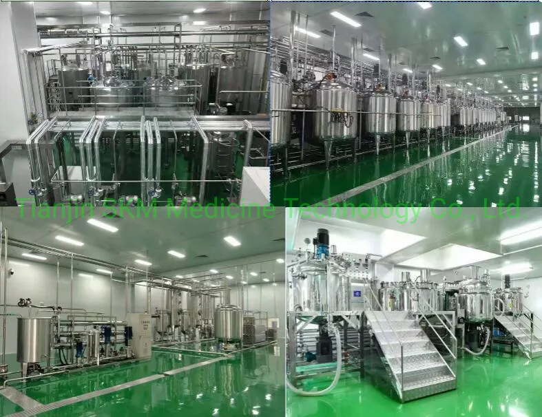 China Manufactory Supply Holy Basil Extract/Ocimum Sanctum Extract