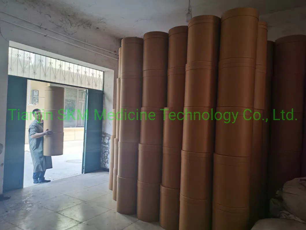 China Manufactory Supply Holy Basil Extract/Ocimum Sanctum Extract