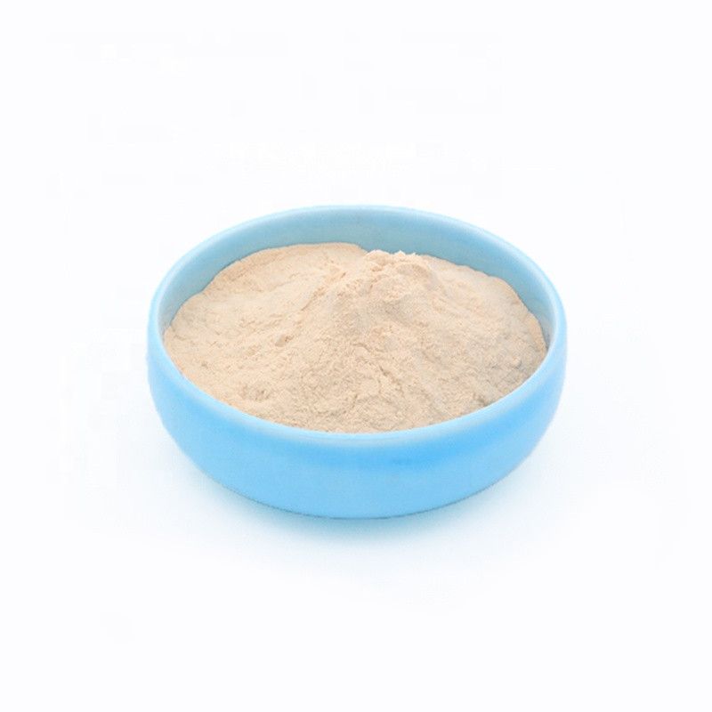 China Manufacturer Noni Fruit Extract Powder, Noni Juice Extract 4: 1 10: 1