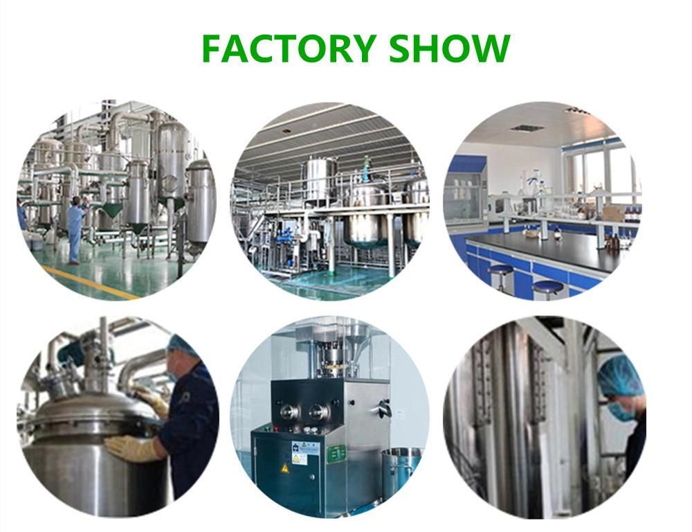 China Manufacturer Noni Fruit Extract Powder, Noni Juice Extract 4: 1 10: 1