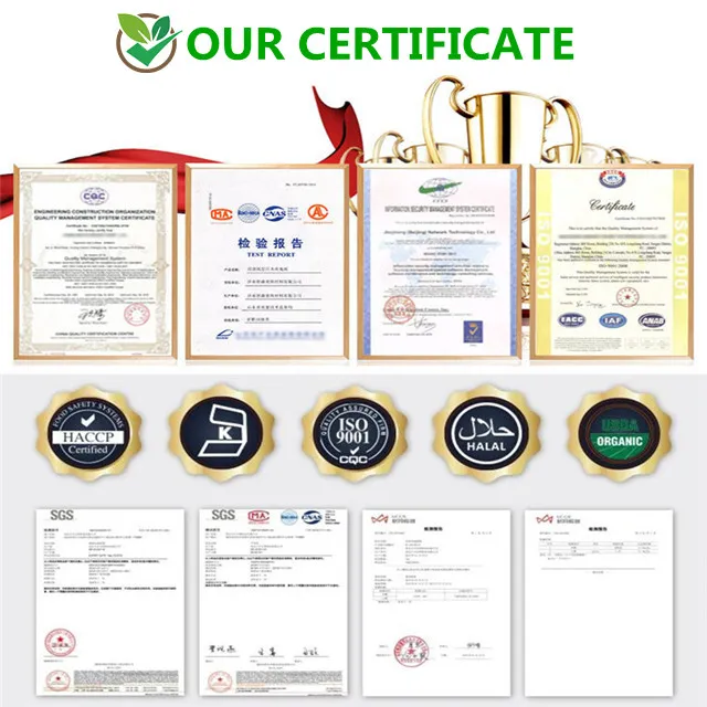 China Manufacturer Noni Fruit Extract Powder, Noni Juice Extract 4: 1 10: 1