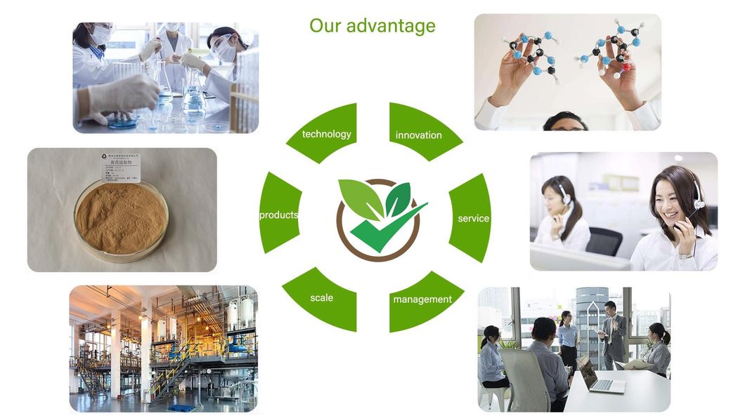 China Manufacturer Noni Fruit Extract Powder, Noni Juice Extract 4: 1 10: 1