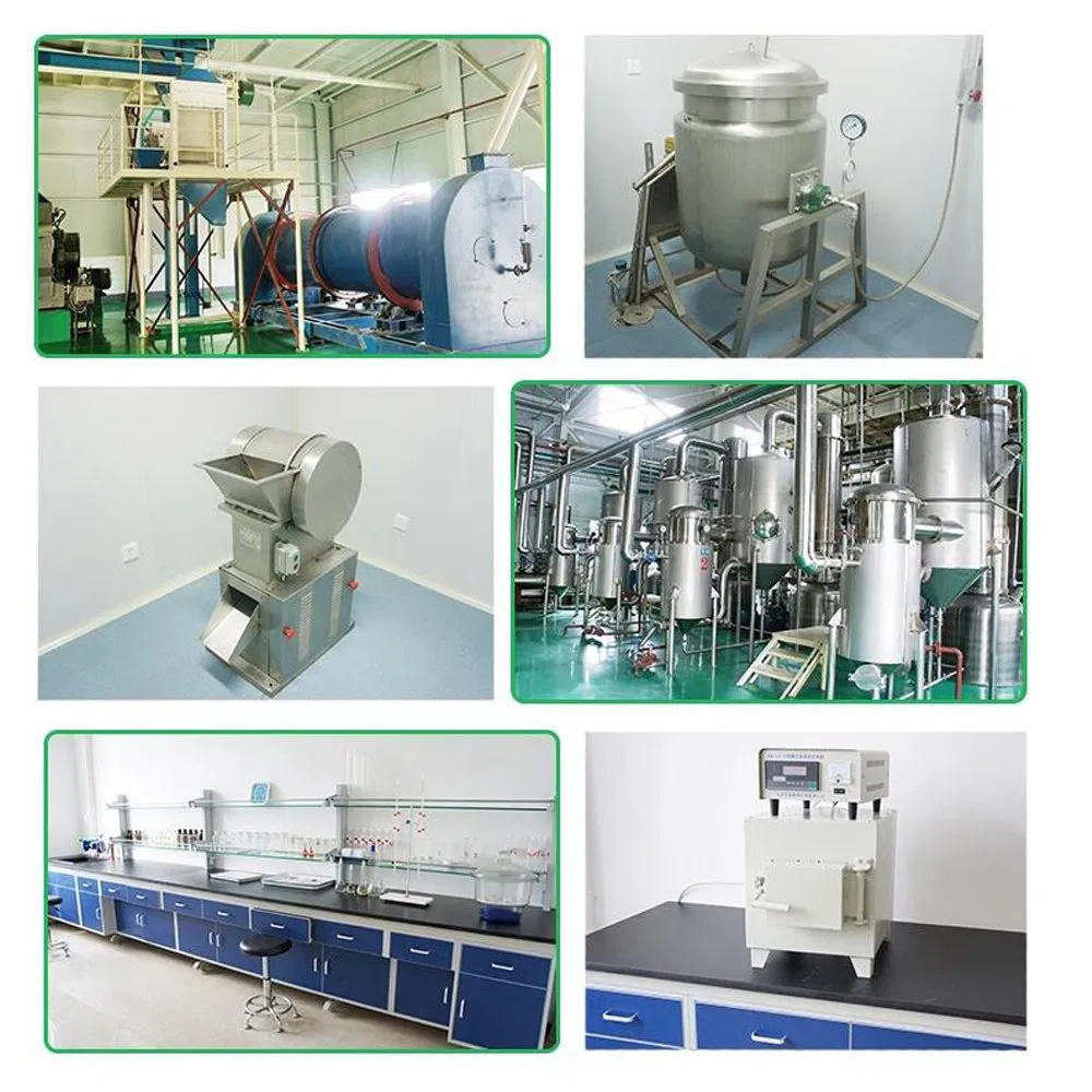 Chinese Herbal Argyi Extract 10: 1 20: 1 Eupatilin