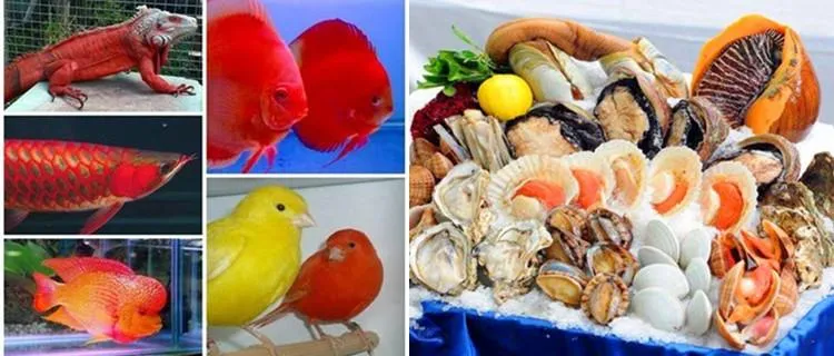 Chinese Manufacturers Feed Additive Canthaxanthin10% Carophyll Red