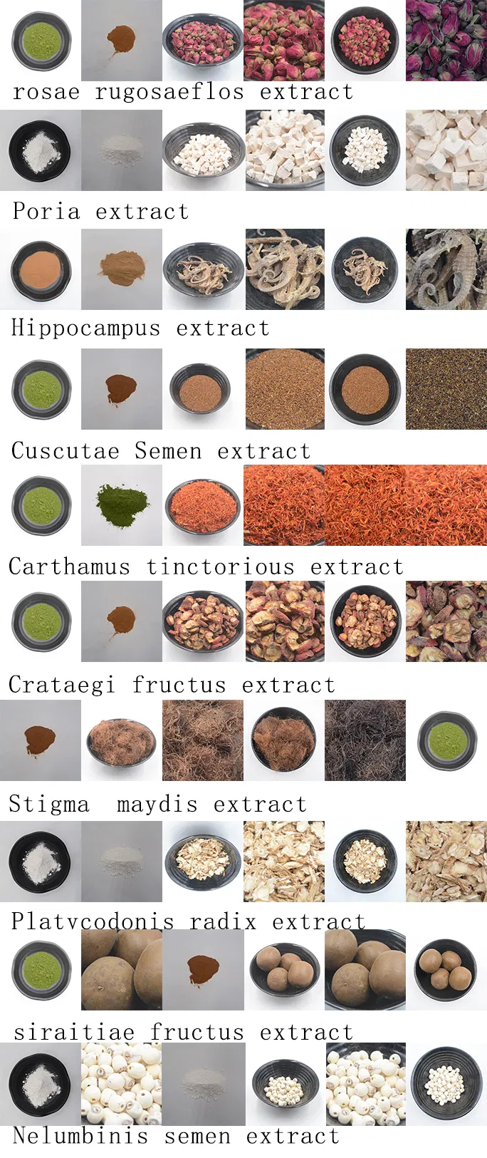 Chinese Medicine Safflower with The Function of Promoting Blood Circulation and Removing Blood Stasis, Dispersing Dampness and Removing Swelling