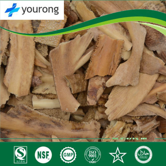 Chinese Medicine Tortoise Shell with The Function of Benefiting Kidney and Strengthening Bone