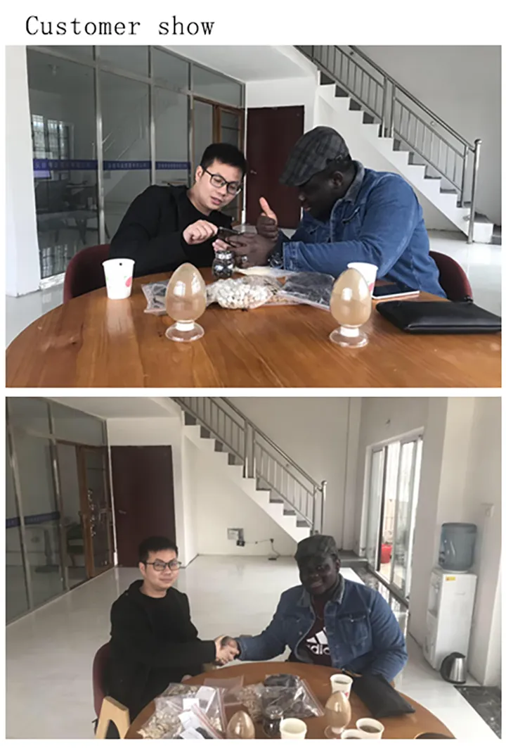 Chinese Medicine Tortoise Shell with The Function of Benefiting Kidney and Strengthening Bone