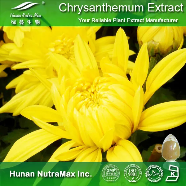 Chrysanthemum Extract Chrysanthemum Morifolium Flower Extract 4: 1-20: 1
