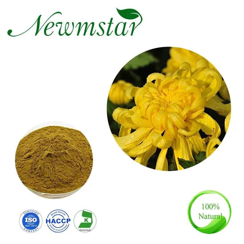 Chrysanthemum Extract Pure Nature Wild Chrysanthemum Indicum Flower Powder