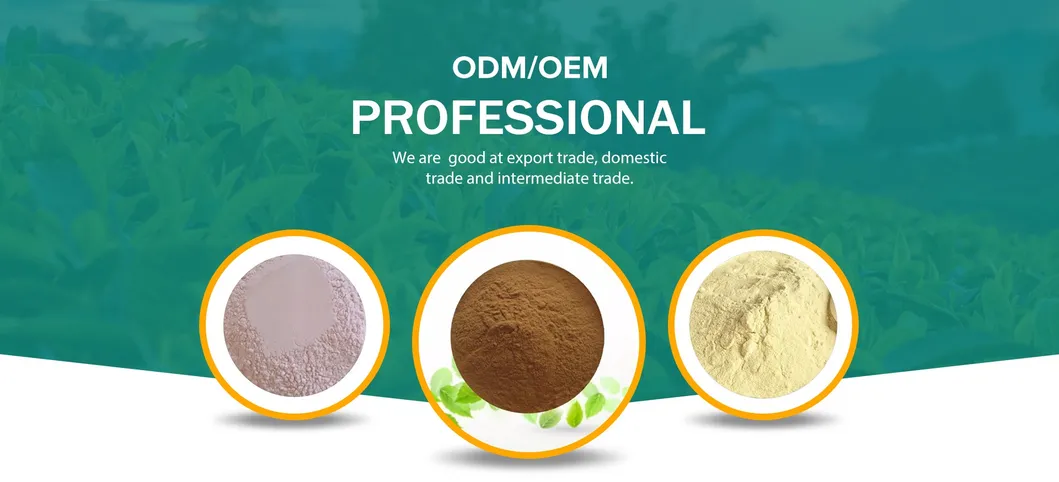 Citrus Aurantium Extract Pure Natural Citrus Extract 98%