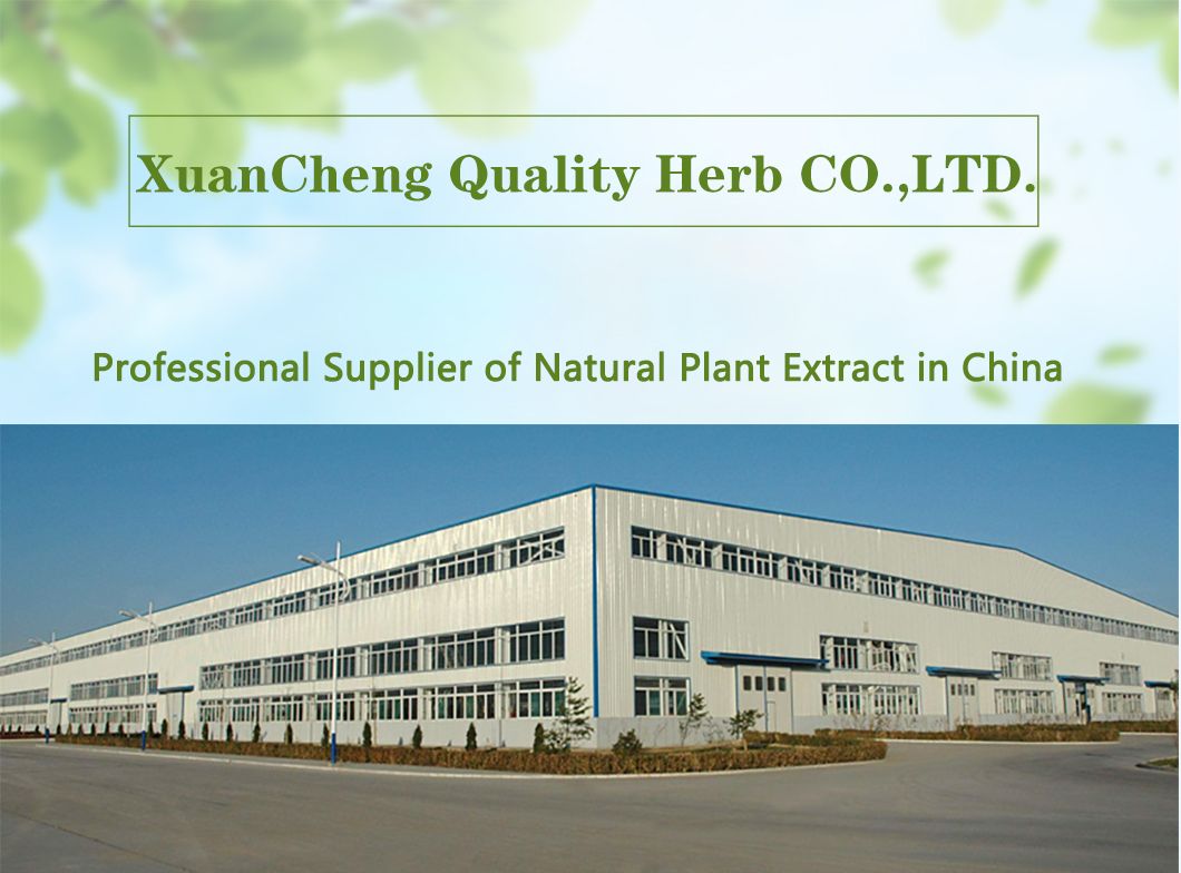 Citrus Flavonoids 50% HPLC