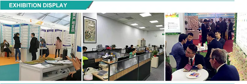 Competitive Price Weight Loss Stachyose Powder CAS 54261-98-2