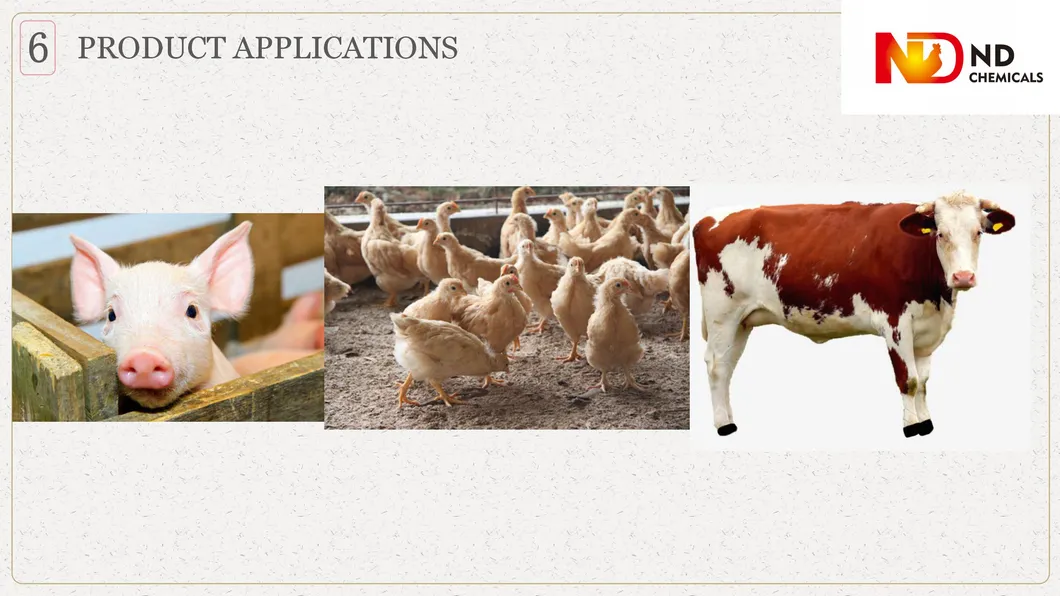 Corn Gluten Meal Promoting Growth for Animal Use Feed Grade