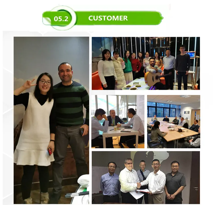 Cosmetic Grade Bulk Bearberry Leaf Extract Powder for Skin Whitening