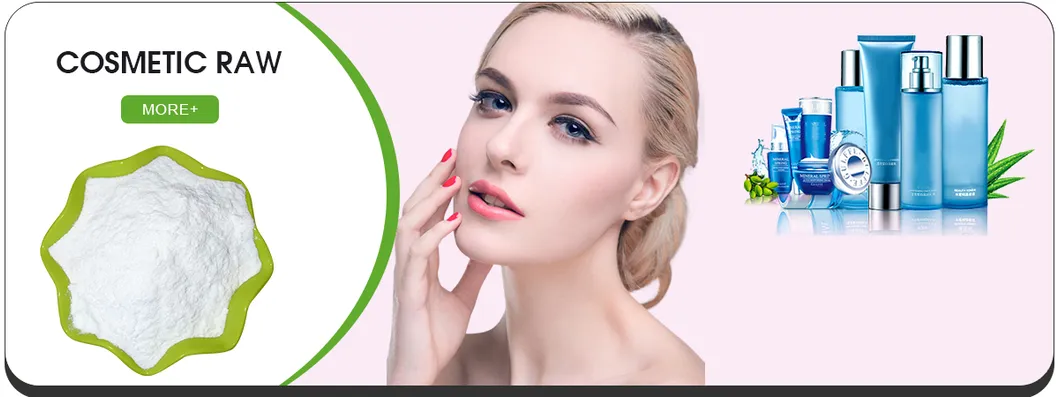 Cosmetic Grade Bulk Bearberry Leaf Extract Powder for Skin Whitening