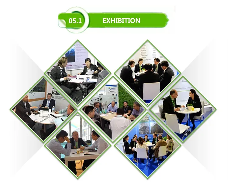 Cosmetic Grade Bulk Bearberry Leaf Extract Powder for Skin Whitening