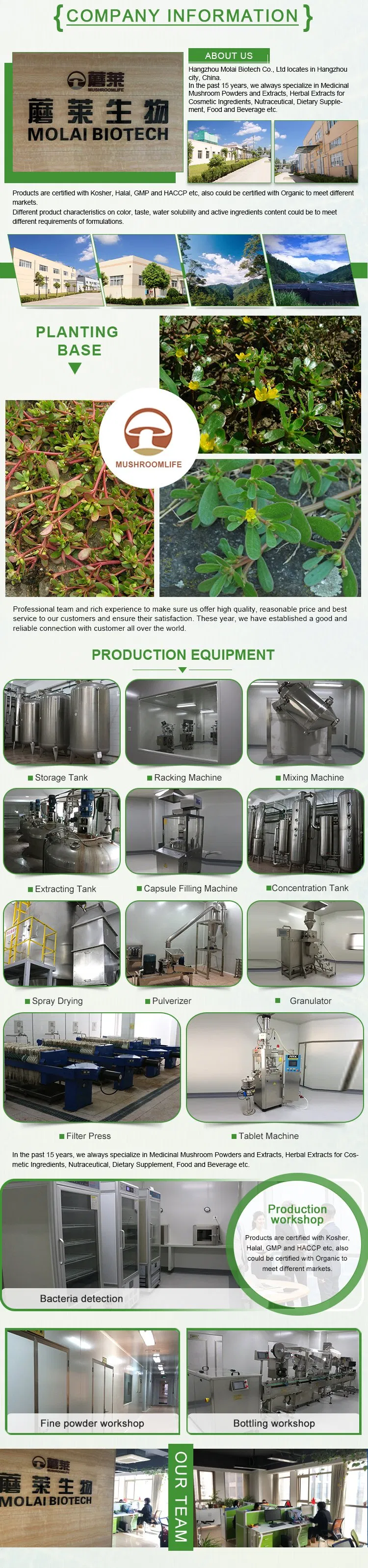 Cosmetic Raw Materials Portulaca Extract Liquid Purslane Extract Liquid Portulaca Oleracea Extract Liquid