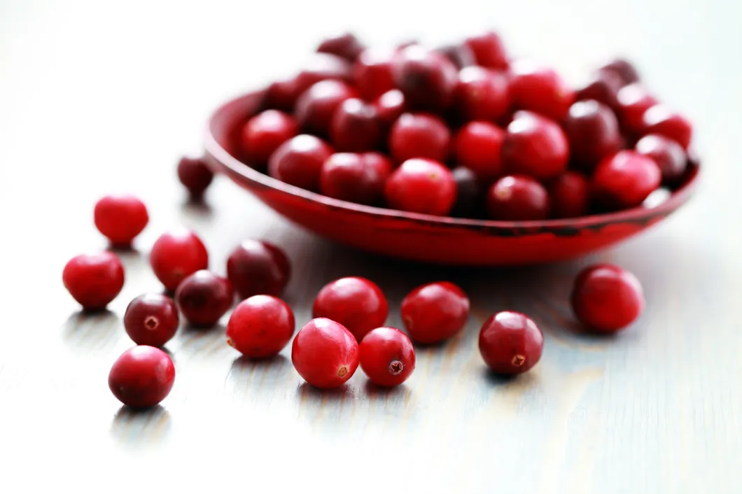 Cranberry Extract with Good Quality Herbal Extract PAC 25%