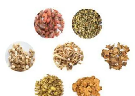 Cutting off Vertical Transmission for The Mycoplasma and Salmonella for Poultry Herbal Formulas for Veterinarians