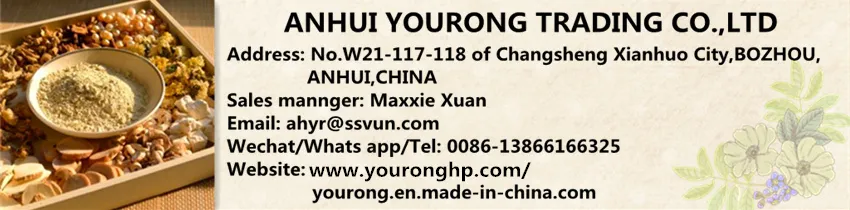 Cynomorium Songaricum, a Traditional Chinese Medicine with Great Medicinal Value