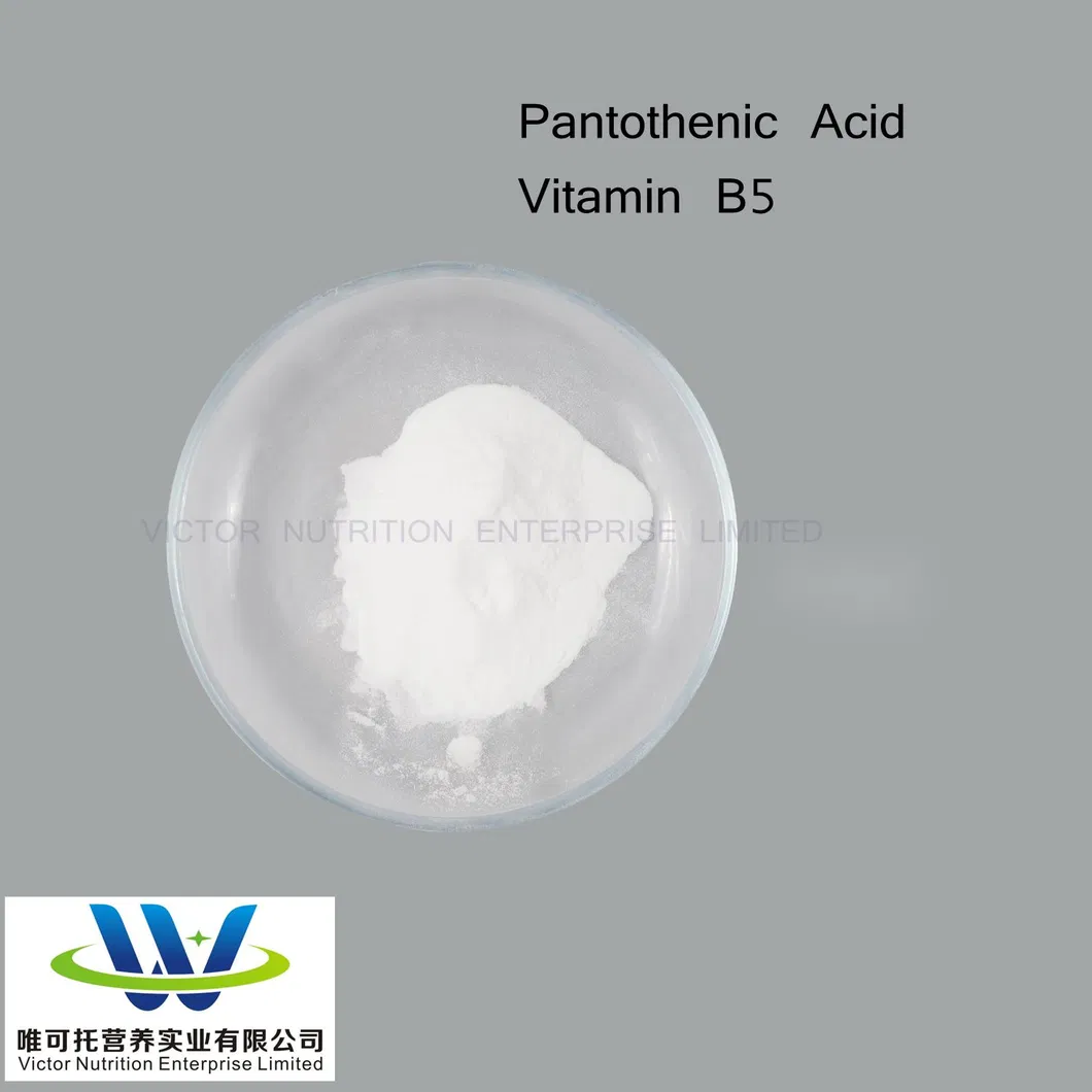 D-Calcium Pantothenate /Vitamin B5/Feed Additive