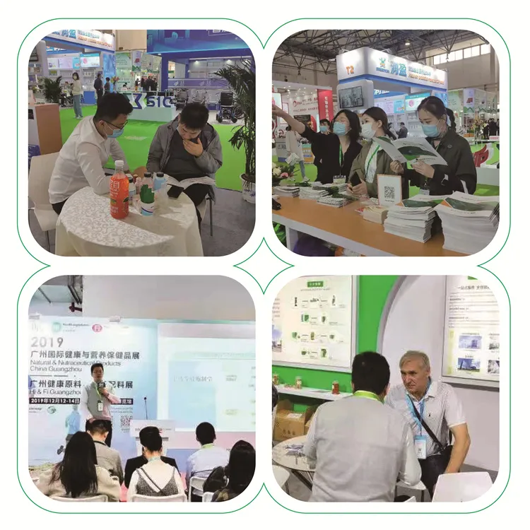 Dietary Supplement Natural Food Grade Luo Han Guo Extract Powder