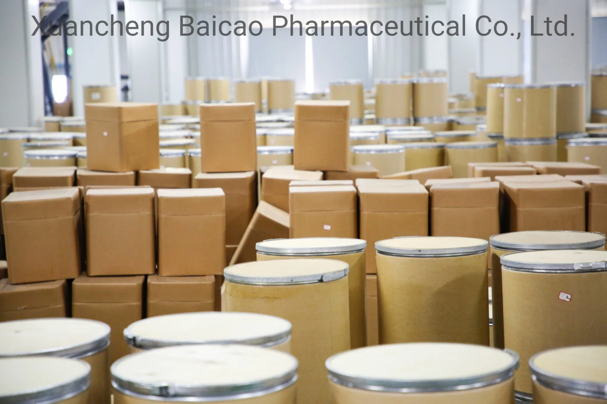 Dong Quai Extract