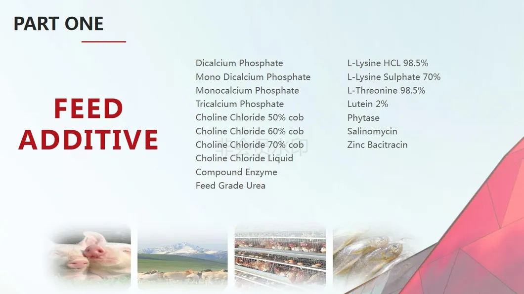 Enzyme Xylanase Compound Enzyme with Multifunction Xylanase Beta-Glucanase Cellulase Amylase Protease Lipase etc.