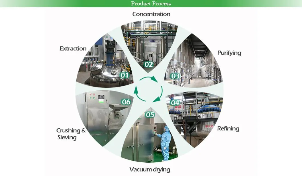 Eriobotrya Japonica Folium Extract Powder HPLC 15% Corosolic Acid