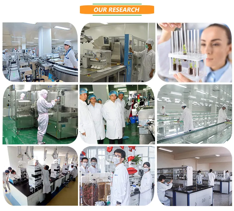 Excellent Quality 25% Saw Palmetto Extract Powder