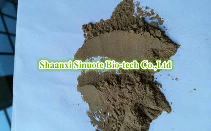 Factory Natural Turmeric / Curcuma Longa Extract Curcumin Powder
