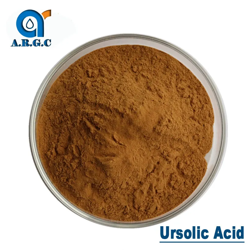 Factory Price High Quality Natural Extract Bulk Ursolic Acid Powder CAS 77-52-1